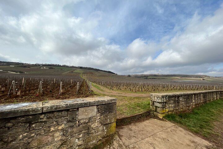 Burgundy Grand Crus Route Tour from Beaune: 14 Wine Tastings, Vougeot and Romanée-Conti (6/11)