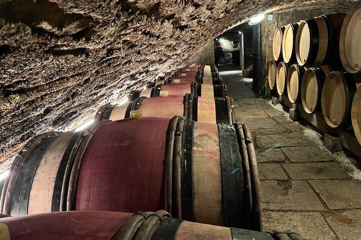 Burgundy Grand Crus Route Tour from Beaune: 14 Wine Tastings, Vougeot and Romanée-Conti (3/11)