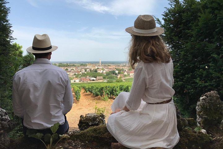 Private Burgundy Day: Two Family Estates and Clos de Vougeot, Pickup in Dijon or Beaune (2/8)