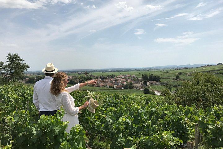 Full-Day Burgundy Wine Tour from Beaune: Charcuterie Pairing, Montrachet and Family Winery (11/12)