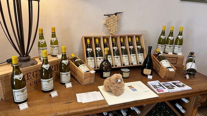 Private Day Trip from Paris: Chablis and Pommard Wine & Cheese Tastings, 15 Glasses (1/5)