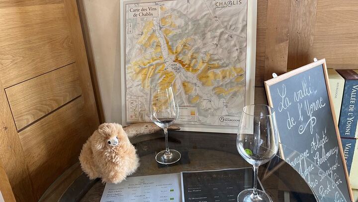 Private Day Trip from Paris: Chablis and Pommard Wine & Cheese Tastings, 15 Glasses (2/5)