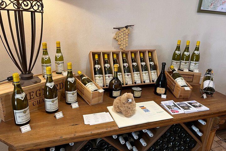 Private Day Trip from Paris: Chablis and Pommard Wine & Cheese Tastings, 15 Glasses (1/5)