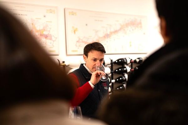 Pinot Noir Masterclass in Dijon: Village to Grand Cru Wine Tasting with a Burgundy Expert