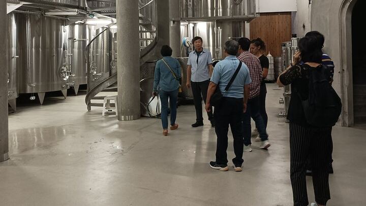 Private Burgundy Wine Day with Professional Guide: Dijon, Beaune and Cellar Tastings (4/12)