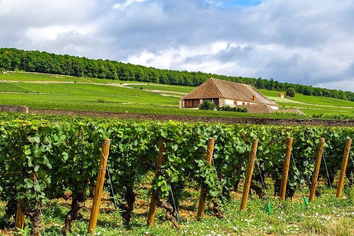 Private Burgundy Wine Day with Professional Guide: Dijon, Beaune and Cellar Tastings (8/12)