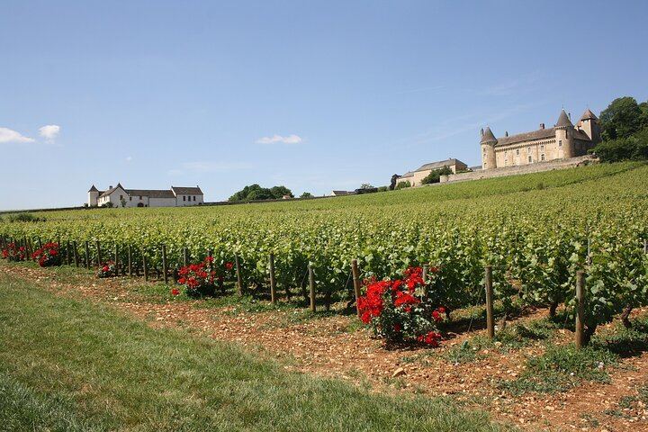 Private Burgundy Wine Day with Professional Guide: Dijon, Beaune and Cellar Tastings (10/12)