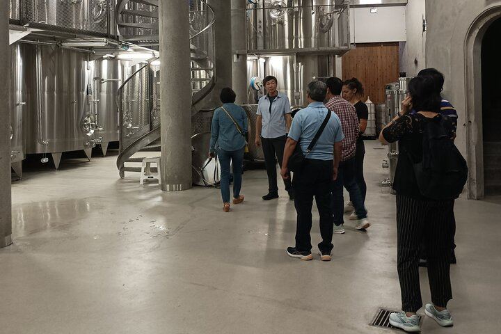 Private Burgundy Wine Day with Professional Guide: Dijon, Beaune and Cellar Tastings (4/12)