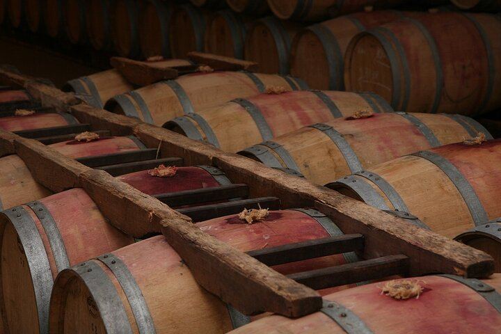 Private Burgundy Wine Day with Professional Guide: Dijon, Beaune and Cellar Tastings (9/12)