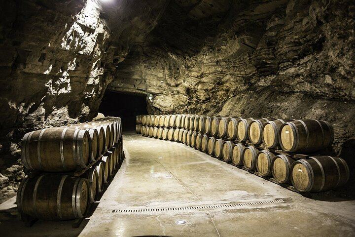 Private Burgundy Wine Day with Professional Guide: Dijon, Beaune and Cellar Tastings (12/12)