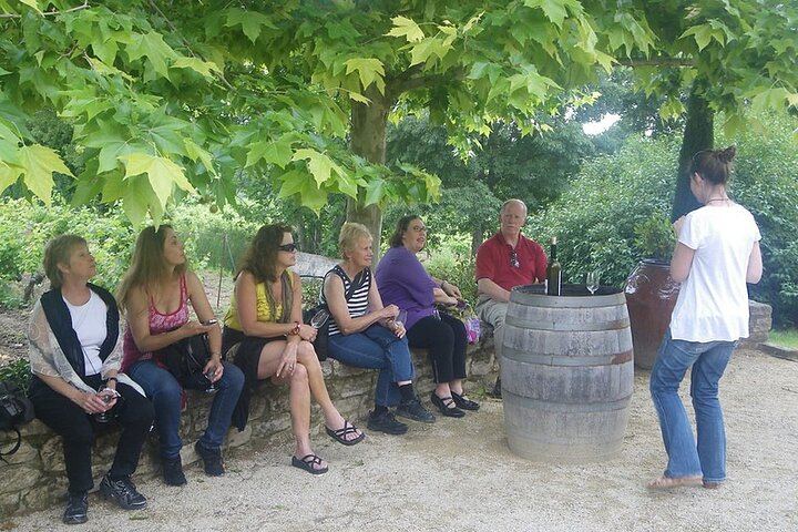 Private Burgundy Wine Day with Professional Guide: Dijon, Beaune and Cellar Tastings (7/12)