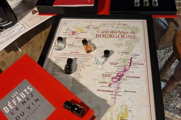 Burgundy Wine Masterclass in Dijon at The Wine Compass: Basic and Advanced Courses (9/12)
