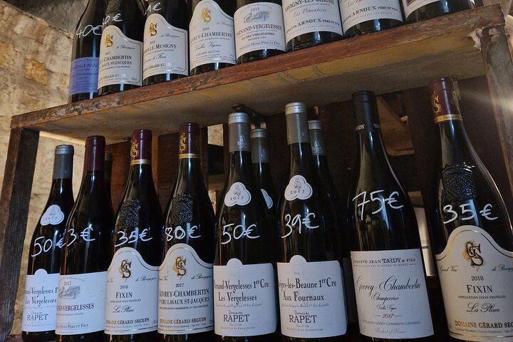 Burgundy Wine Masterclass in Dijon at The Wine Compass: Basic and Advanced Courses (5/12)
