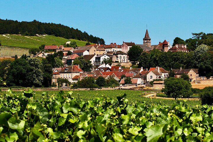 Private Paris to Chablis & Pommard Tour: 3 Guided Visits, 15 Wines, Mercedes Minivan (7/12)
