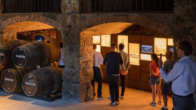 Burmester Winery Visit in Vila Nova de Gaia with a Guided Tasting of Two or Three Wines (1/7)