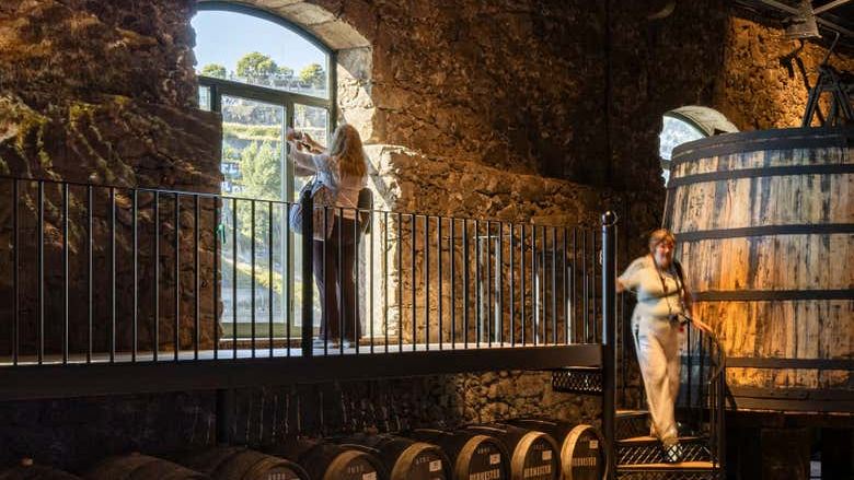Burmester Winery Visit in Vila Nova de Gaia with a Guided Tasting of Two or Three Wines (4/7)
