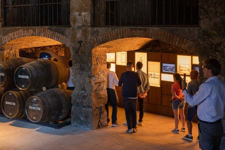 Burmester Winery Visit in Vila Nova de Gaia with a Guided Tasting of Two or Three Wines (1/7)