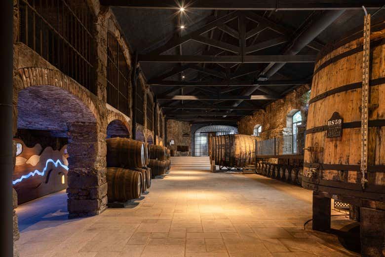 Burmester Winery Visit in Vila Nova de Gaia with a Guided Tasting of Two or Three Wines (3/7)