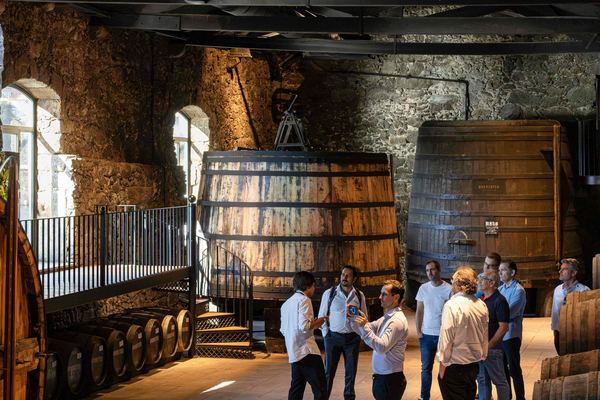 Burmester Winery Visit in Vila Nova de Gaia with a Guided Tasting of Two or Three Wines