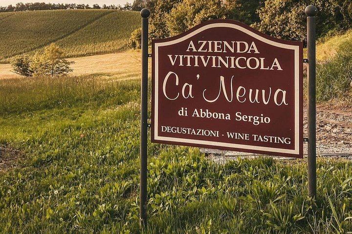 Ca'Neuva Family Farm Winery in Dogliani: Seven-Wine Tasting and Cellar Visit (3/12)
