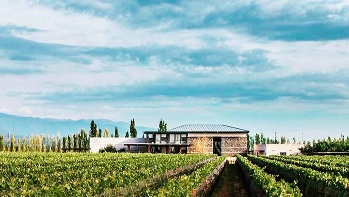 Luján de Cuyo Wine Tour: Caelum Tasting and Paired Lunch at Chandon (1/4)