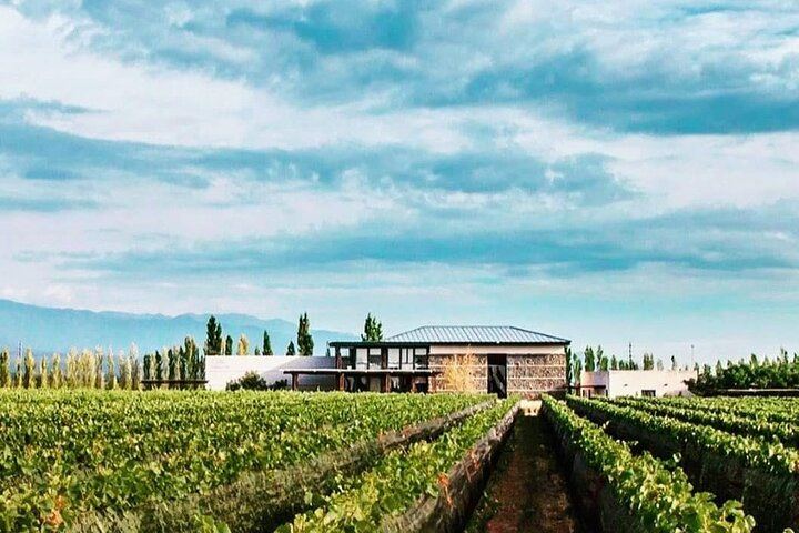 Luján de Cuyo Wine Tour: Caelum Tasting and Paired Lunch at Chandon (1/4)
