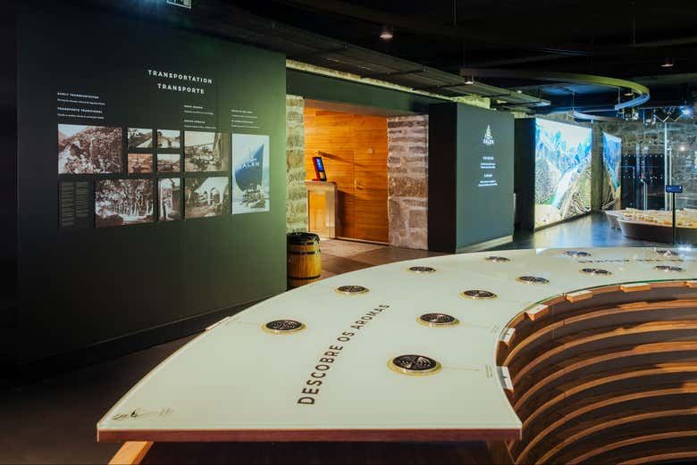 Cálem Cellars Guided Tour in Porto with Museum Visit and a Choice of Wine Tastings (1/7)