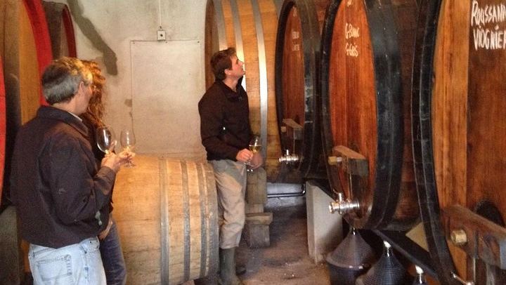 Camino Tailor-Made Private Wine Day from Cape Town: L'Avenir, Lunch and Waterford (3/12)