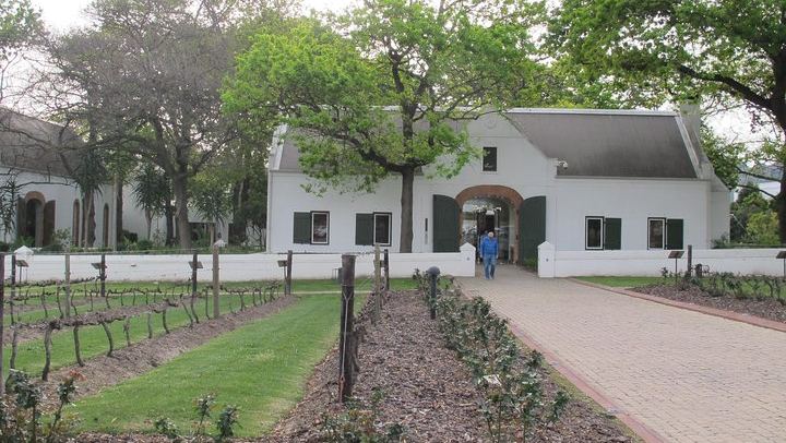 Camino Tailor-Made Private Wine Day from Cape Town: L'Avenir, Lunch and Waterford (4/12)