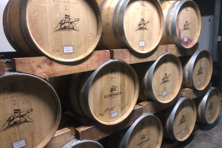 Camino Tailor-Made Private Wine Day from Cape Town: L'Avenir, Lunch and Waterford (9/12)
