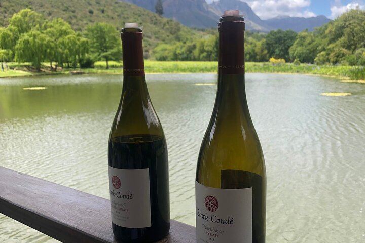 Camino Tailor-Made Private Wine Day from Cape Town: L'Avenir, Lunch and Waterford (11/12)