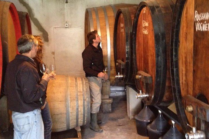 Camino Tailor-Made Private Wine Day from Cape Town: L'Avenir, Lunch and Waterford (3/12)