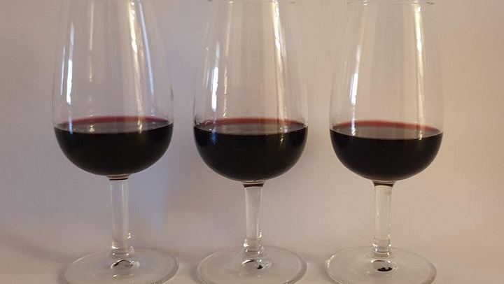 Barcelona Wine and Scent Tasting Designed by a Local Oenology PhD and Fragrance Specialist (4/7)