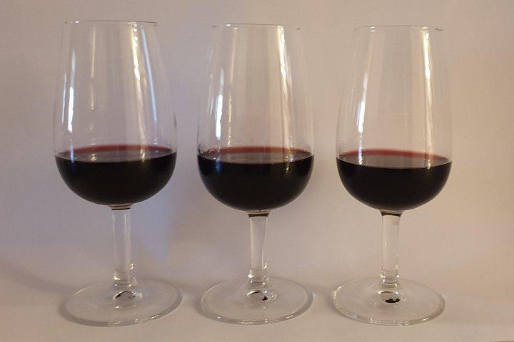Barcelona Wine and Scent Tasting Designed by a Local Oenology PhD and Fragrance Specialist (4/7)