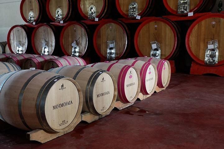 Rome to Siena and San Gimignano Day Trip: Tenuta Torciano Tasting of 10 Wines and Lunch (11/12)