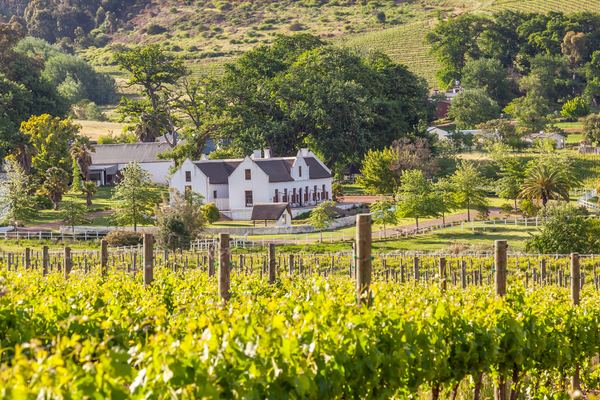 Stellenbosch Wine Tours
