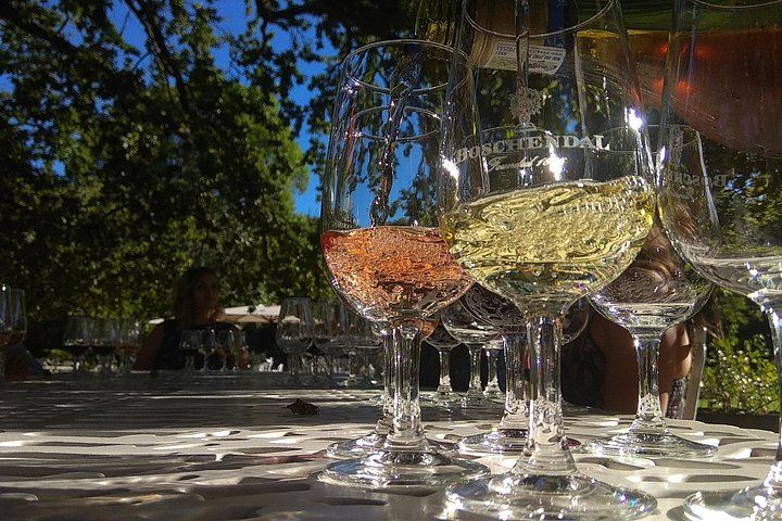 Stellenbosch and Franschhoek Wine Day Trip with Cheese, Lunch and Chocolate Pairings (1/10)