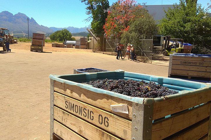 Stellenbosch and Franschhoek Wine Day Trip with Cheese, Lunch and Chocolate Pairings (8/10)