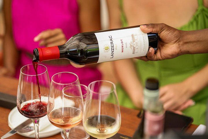 Small-Group Winelands Day from Cape Town: Lanzerac, Tokara and Franschhoek Wine Tram (5/12)