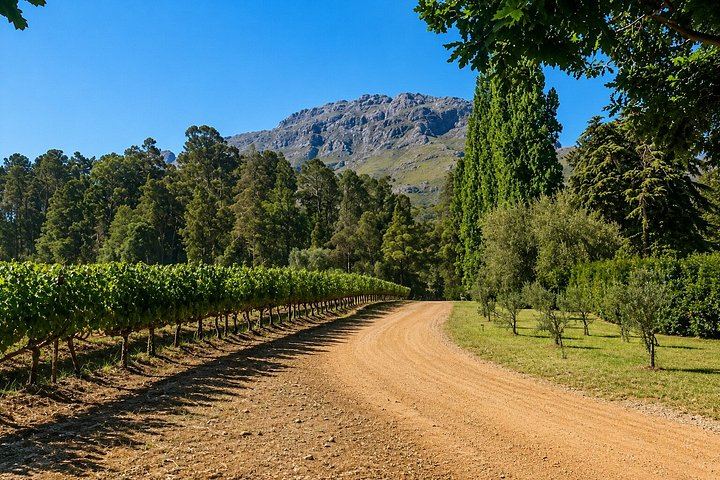Private Stellenbosch Afternoon: Dorp Street Walk and Lanzerac Wine and Chocolate Pairing (5/12)