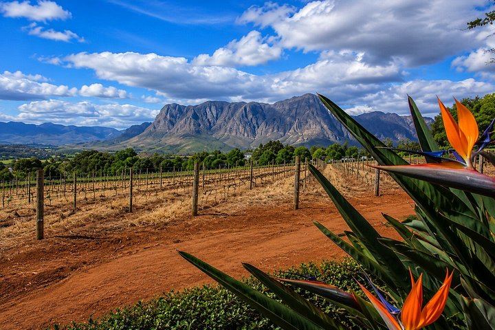 Private Stellenbosch Afternoon: Dorp Street Walk and Lanzerac Wine and Chocolate Pairing (11/12)