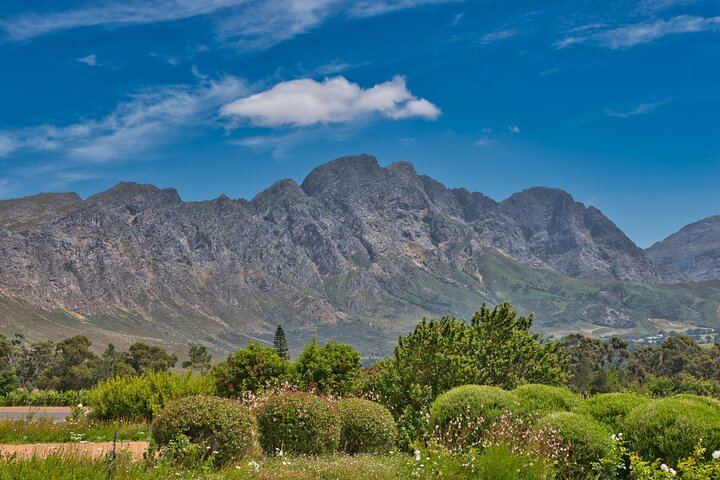 Private Full-Day Cape Winelands Tour: Fairview, La Petite Ferme Lunch, La Motte and Tokara (6/6)