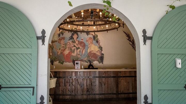 Private Full-Day Cape Winelands Tour: Fairview, La Petite Ferme Lunch, La Motte and Tokara (3/6)