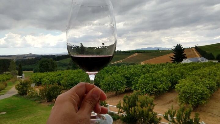 Private Cape Winelands Tour: Five Chosen Wineries from DeMorgenzon to Delaire Graff (2/8)