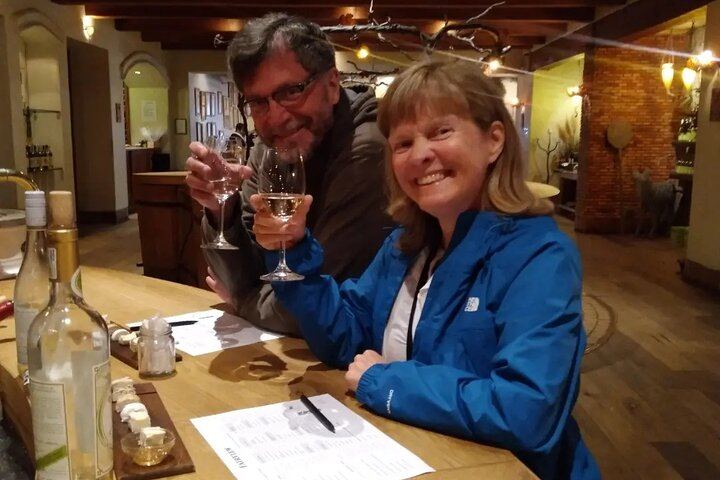 Private Paarl, Franschhoek and Stellenbosch Wine Tour: Fairview, La Motte, Lanzerac (9/12)