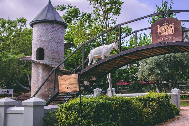 Private Cape Winelands Tour: Five Chosen Wineries from DeMorgenzon to Delaire Graff (6/8)