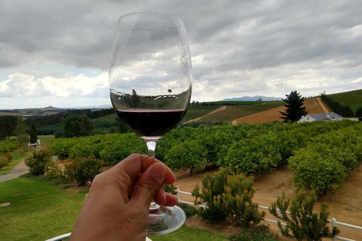 Private Cape Winelands Tour: Five Chosen Wineries from DeMorgenzon to Delaire Graff (2/8)