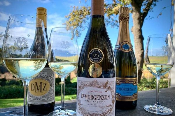 Private Cape Winelands Tour: Five Chosen Wineries from DeMorgenzon to Delaire Graff
