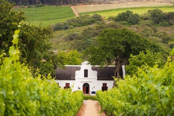 Sip and Savor Half-Day Wine Escape: Fairview Cheese and Marianne Biltong