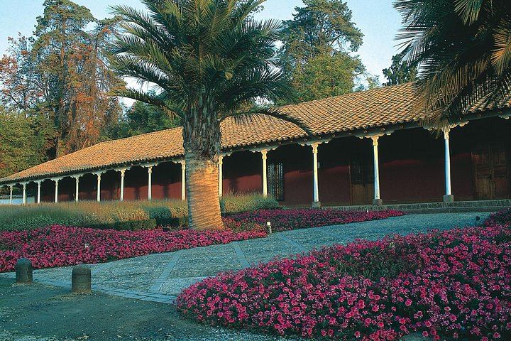Santa Rita Premium Winery Tour in Alto Jahuel: Cellars, Roman Baths, 3 Wines (3/5)